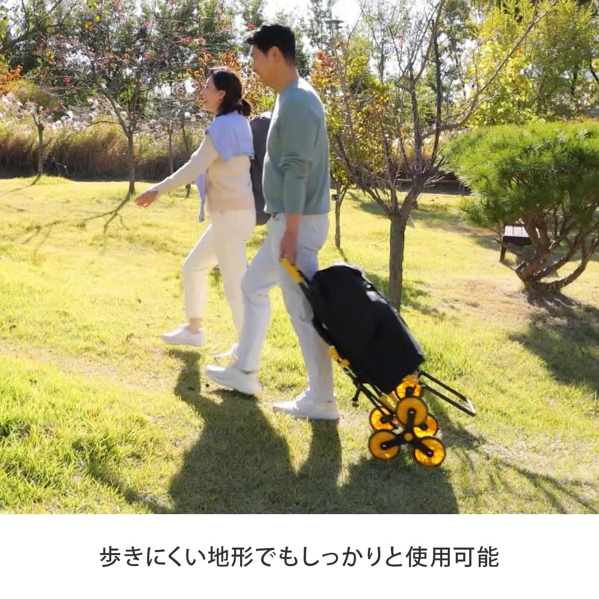 Amazon｜イージーカート ショッピングカート 椅子 イス 買い物 散歩